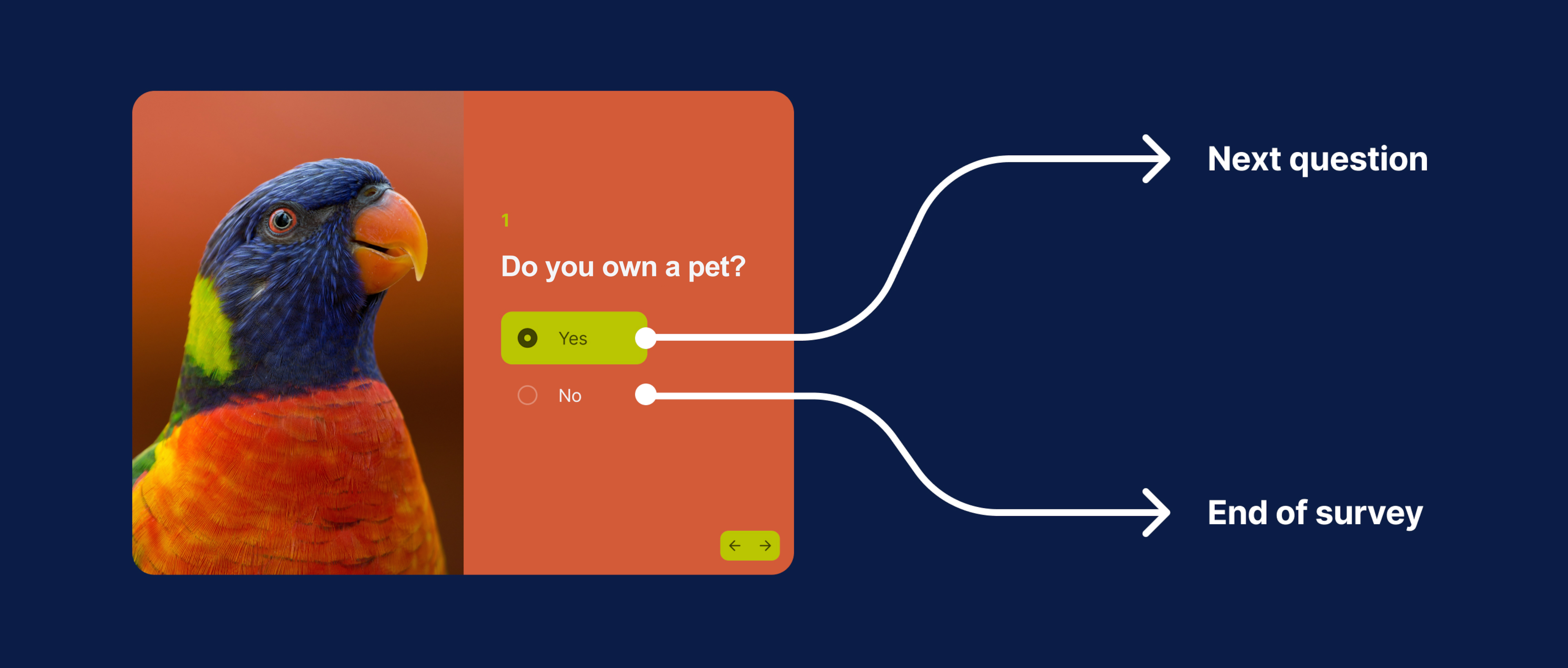An illustrative image of survey logic applied to a single choice question.
